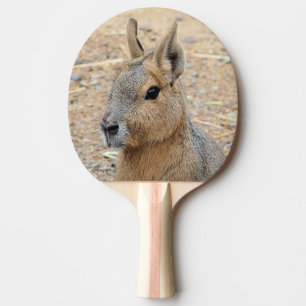 PATAGONIAN MARA PING PONG PADDLE