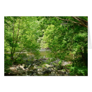 Patapsco River View Maryland Nature Photography