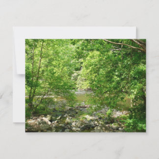 Patapsco River View Maryland Nature Photography