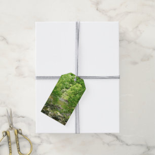 Patapsco River View Maryland Nature Photography Gift Tags
