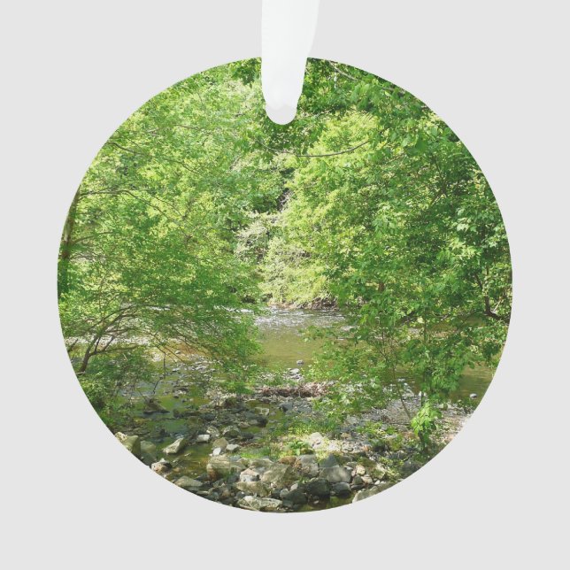 Patapsco River View Maryland Nature Photography Ornament (Front)