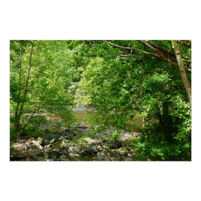 Patapsco River View Maryland Nature Photography Poster (Front)