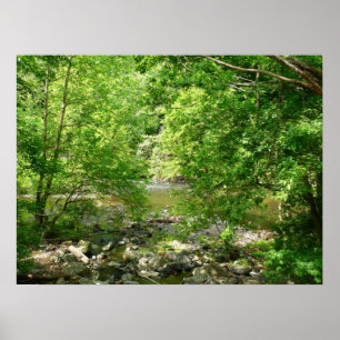 Patapsco River View Maryland Nature Photography Poster