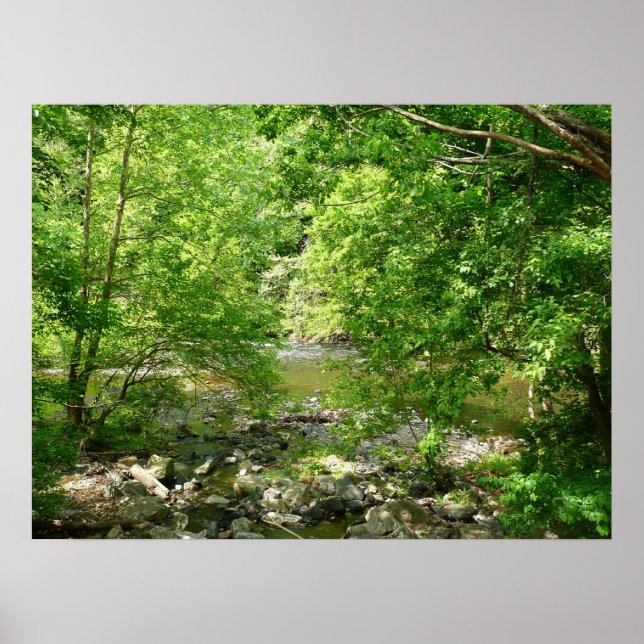 Patapsco River View Maryland Nature Photography Poster (Front)