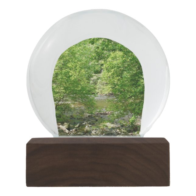 Patapsco River View Maryland Nature Photography Snow Globe (Front)