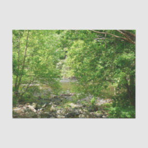 Patapsco River View Maryland Nature Photography Tissue Paper