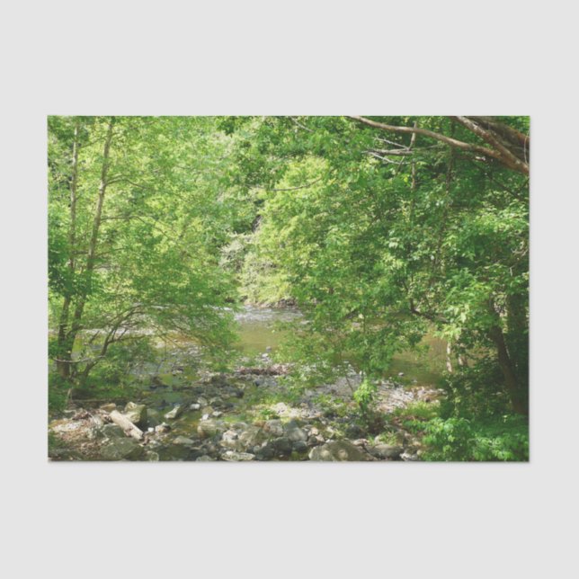 Patapsco River View Maryland Nature Photography Tissue Paper (Front)