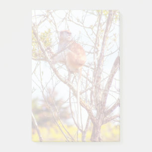 Patas is Up a Tree Post-it Notes