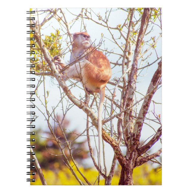 Patas is Up a Tree Spiral Notebook (Front)