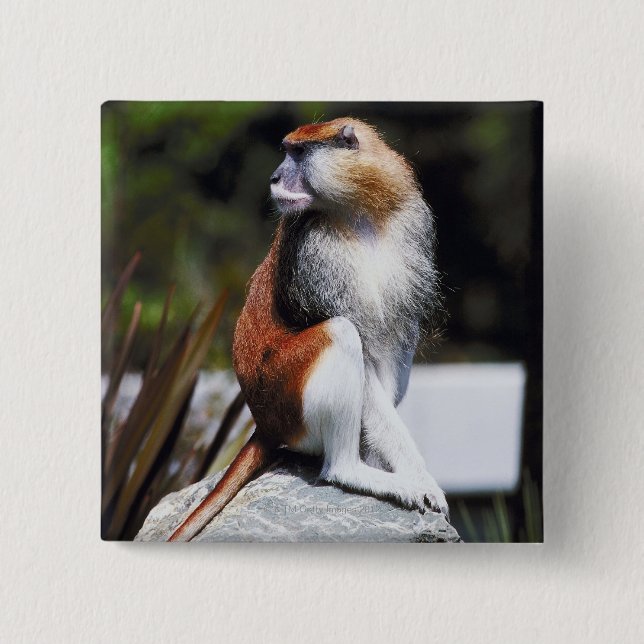 Patas monkey 15 cm square badge (Front)