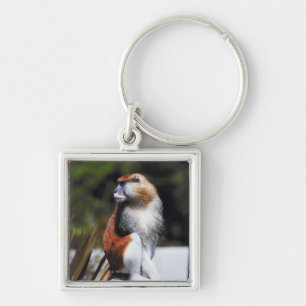 Patas monkey key ring