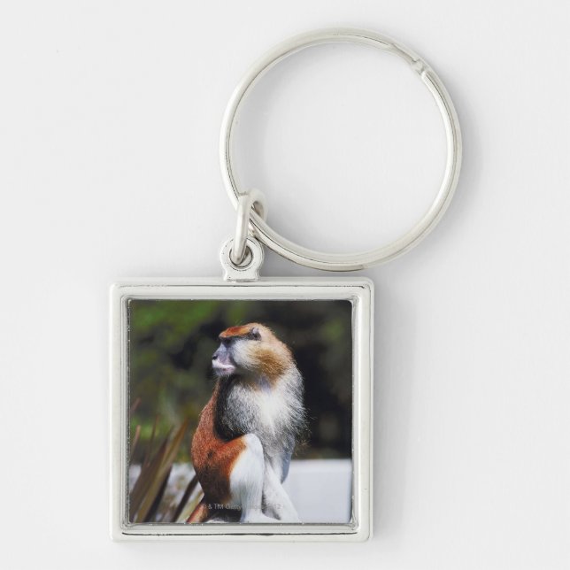 Patas monkey key ring (Front)
