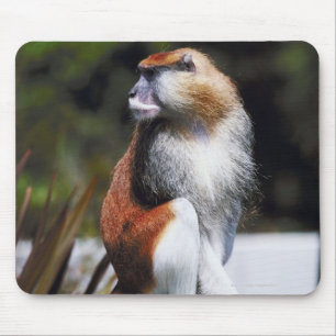 Patas monkey mouse pad