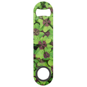 Patch of Four Leaf Clover (Sorrel) after Rain