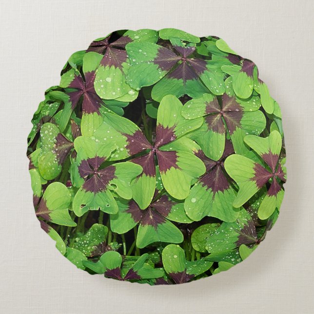 Patch of Four Leaf Clover, (Sorrel, Iron Cross) Round Cushion (Front)