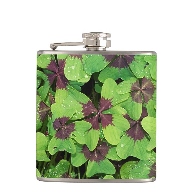 Patch of Four Leaf Clover, Sorrel, with Dew Hip Flask (Front)