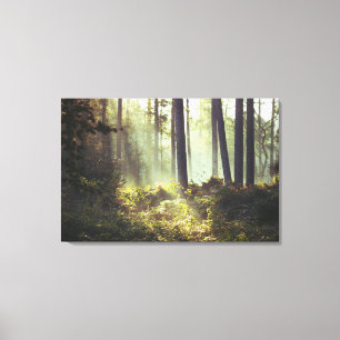 Patch of Underbrush in the Forest Canvas Print