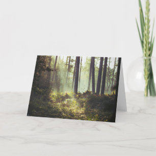 Patch of Underbrush in the Forest Card