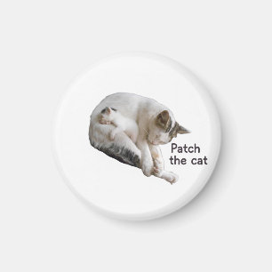 PATCH THE CAT AND HER KITTEN MAGNET