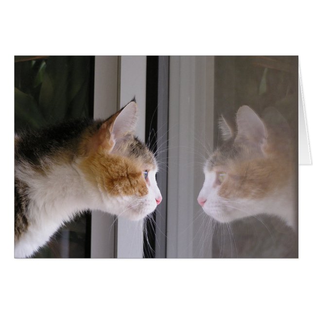 Patches (Front Horizontal)