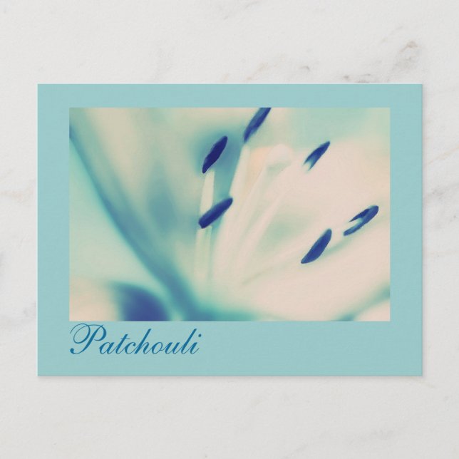 Patchouli Lily Postcard Floral Digital Art (Front)