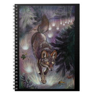 Path Illuminate Notebook