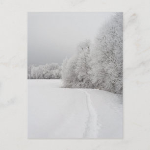 Path in snowy landscape, New Year Holiday Postcard