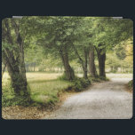 Path in the Country iPad Cover<br><div class="desc">Home Décor</div>