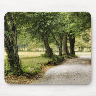 Path in the Country Mouse Pad