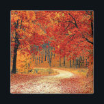 Path in the Forest, Autumn Magnet<br><div class="desc">Path in the Forest,  beautiful autumn colours</div>