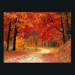 Path in the Forest, Autumn Poster<br><div class="desc">Path in the Forest,  beautiful autumn colours</div>