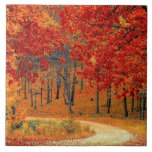 Path in the Forest, Autumn Tile<br><div class="desc">Path in the Forest,  beautiful autumn colours</div>