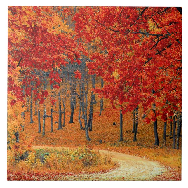 Path in the Forest, Autumn Tile (Front)