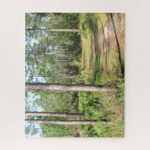 Path In The Woods 2656 Jigsaw Puzzle