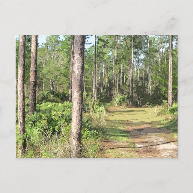 Path In The Woods 2656 Postcard (Front)