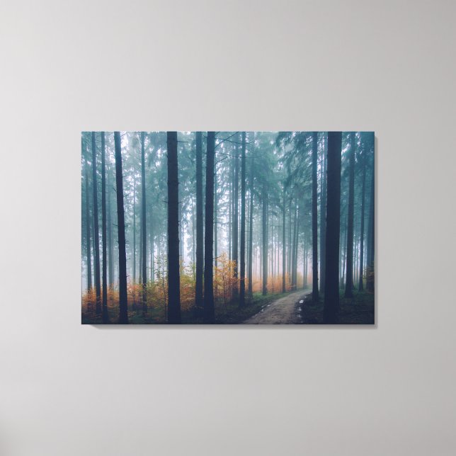 Path in the Woods Canvas Print (Front)