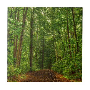 Path in the Woods Tile