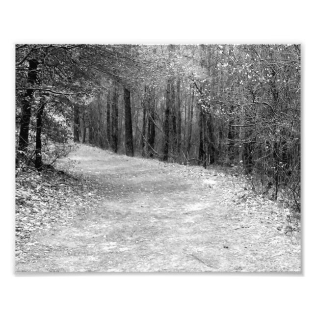 Path Less Travelled B&W Photo Print (Front)