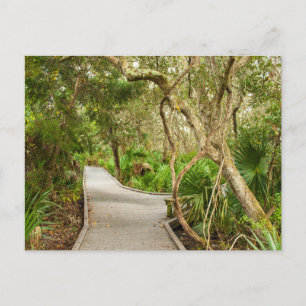 Path, Merritt Island National Wildlife Refuge, FL Postcard
