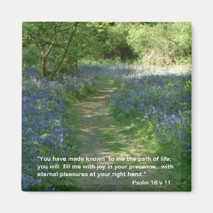 Path of Life - Bluebells   Magnet