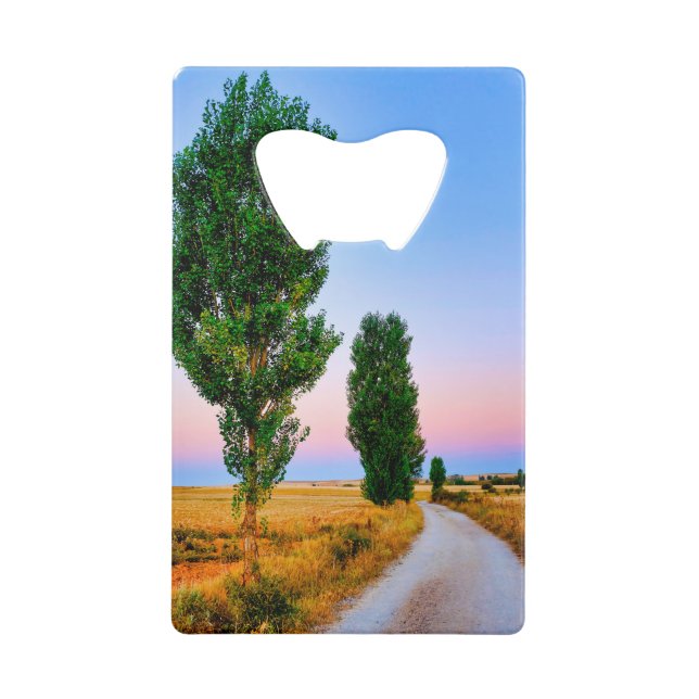 Path of the French Way  (Front)