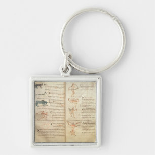 Path of the moon across the constellations key ring