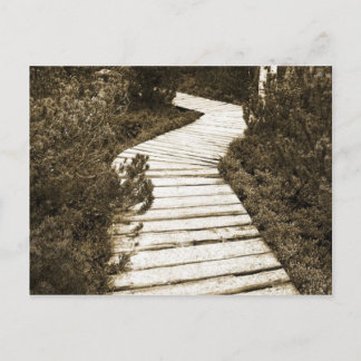 Path On Peat Moor In Sepia Colour Postcard