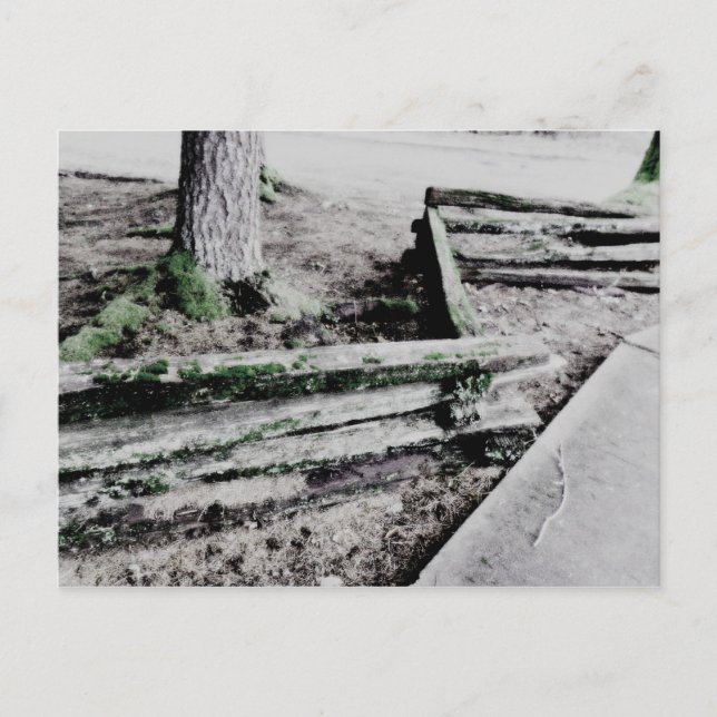 path postcard (Front)