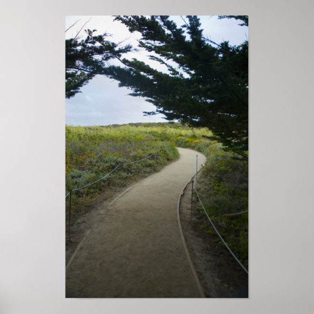 Path Poster (Front)