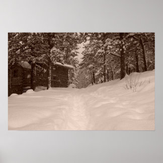 Path Poster