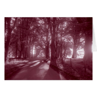 PATH THAT LEADS TO HOME