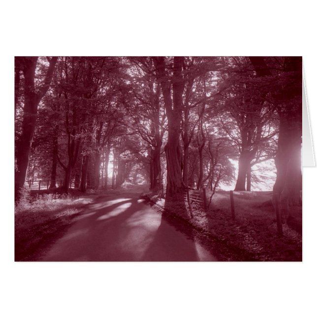PATH THAT LEADS TO HOME (Front Horizontal)