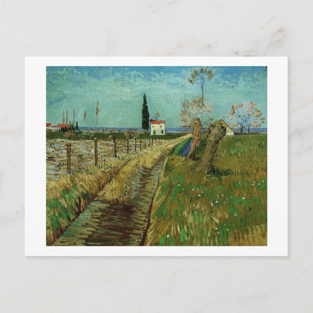 Path Through Field with Willows Van Gogh Fine Art Postcard (Front)