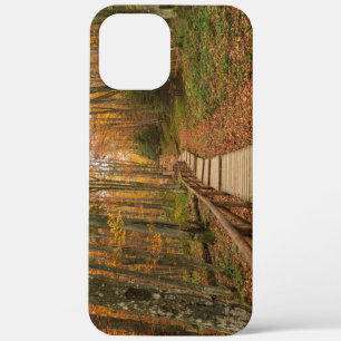Path through the autumn forest. iPhone 12 pro max case